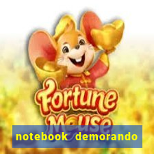 notebook demorando para ligar tela preta